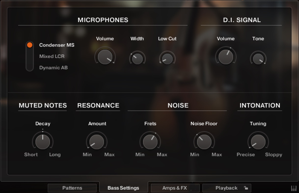Upright_Bass_06_BassSettings.jpg